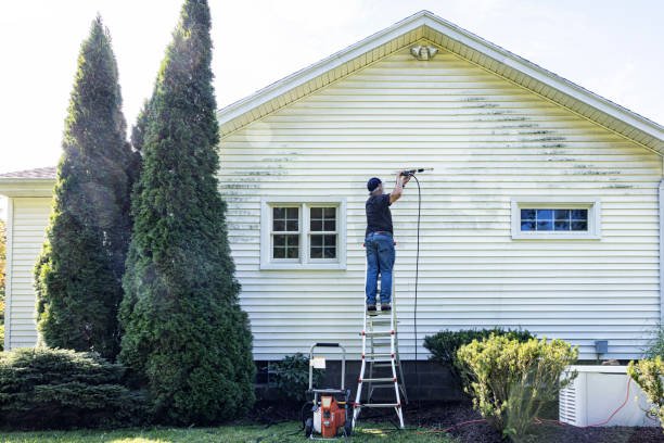 Best Solar Panel Cleaning  in Mason Neck, VA